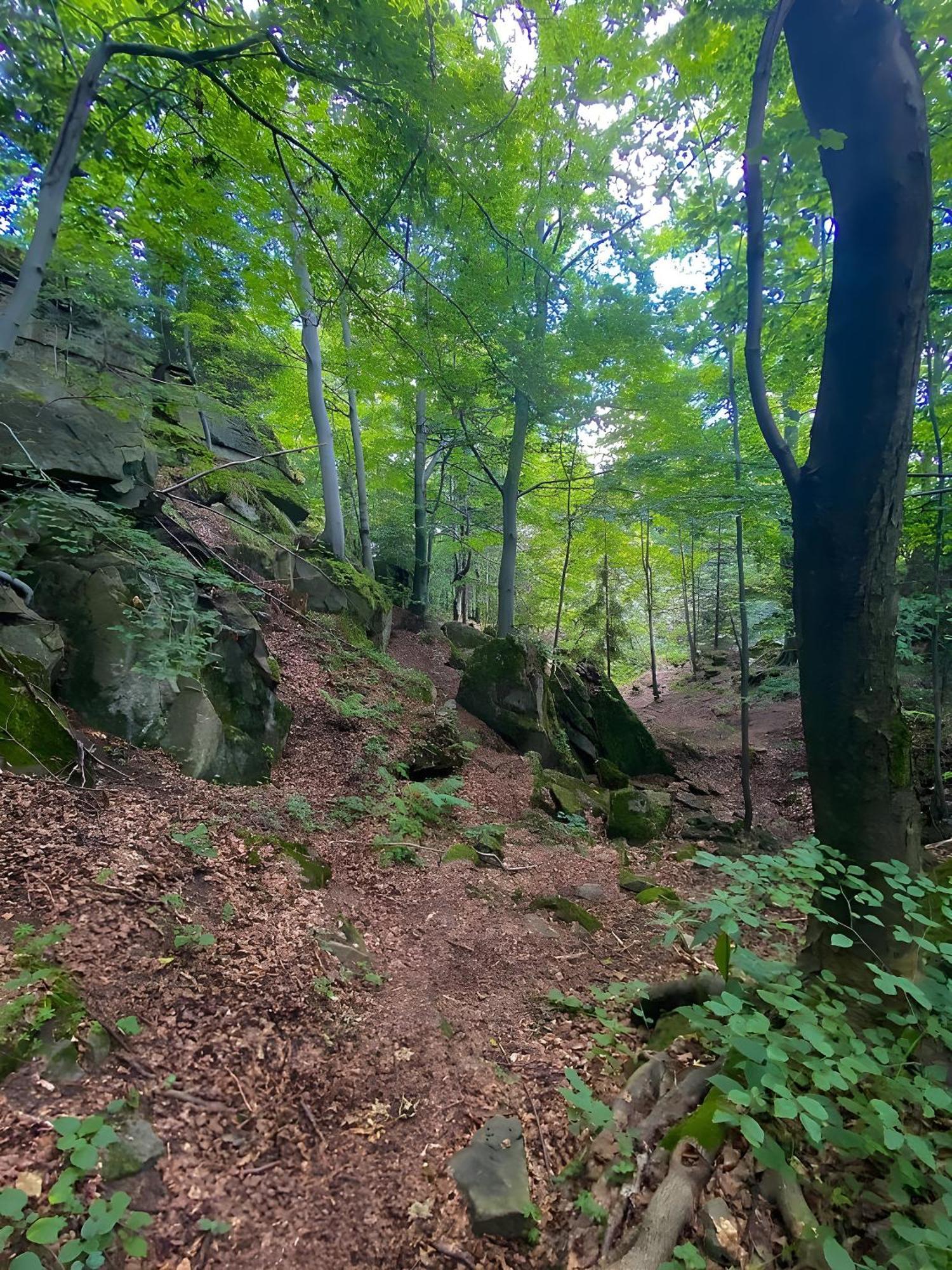 Przystanek Madejowa Villa Jeleśnia Buitenkant foto