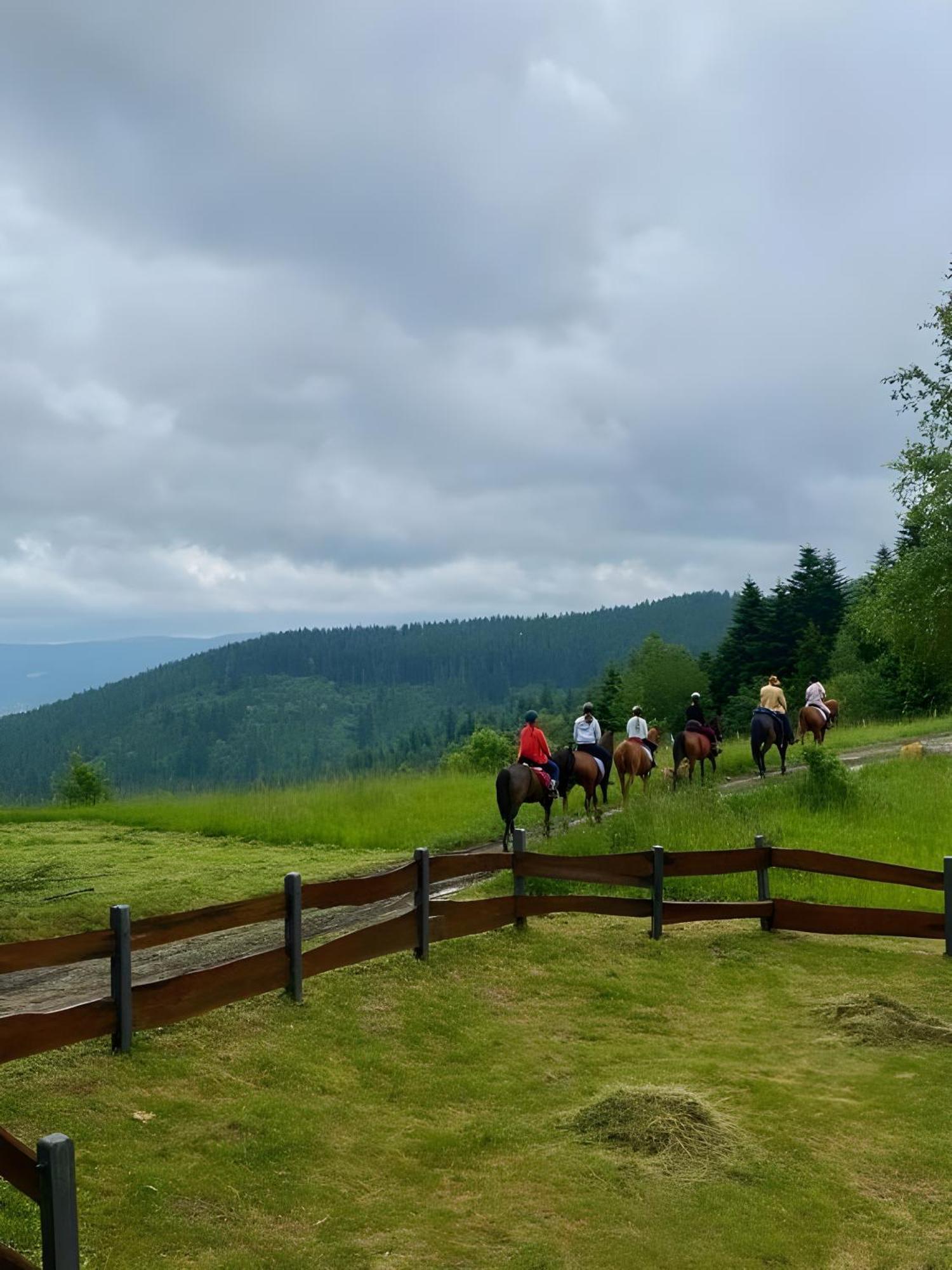 Przystanek Madejowa Villa Jeleśnia Buitenkant foto